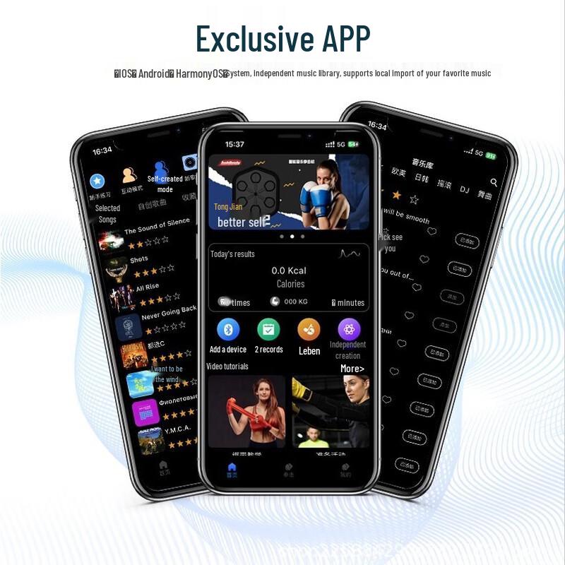 Fighting Tiger Smart Music Boxing Target