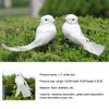 1 pieza de pájaros artificiales simulados, pájaro blanco, pájaro emplumado, decoración de paloma blanca pequeña