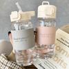 500Ml Portable Water Bottle With Straw Creative Cute Leak-Proof Plastic Drinking Bottle Milk Coffee Tea Juice Cup Drinkware