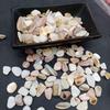 Piedras de Concha de Terrazzo Blanco y Negro de Nácar para Decoración de Acuario y Maceta