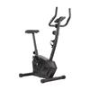 Zhan Yu Indoor Upright Magnetic Exercise Bike