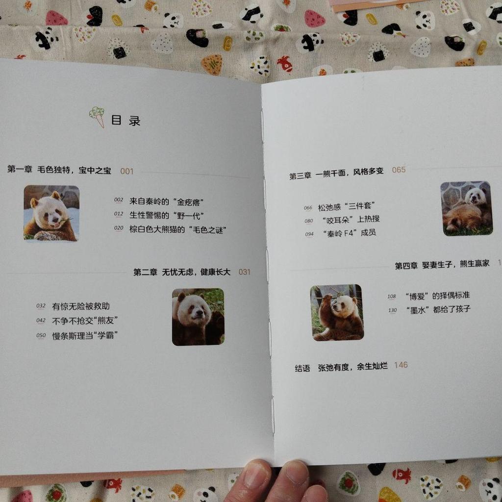 [USED] A rare item! The sixth book in the Panda series, "Seven Pandas