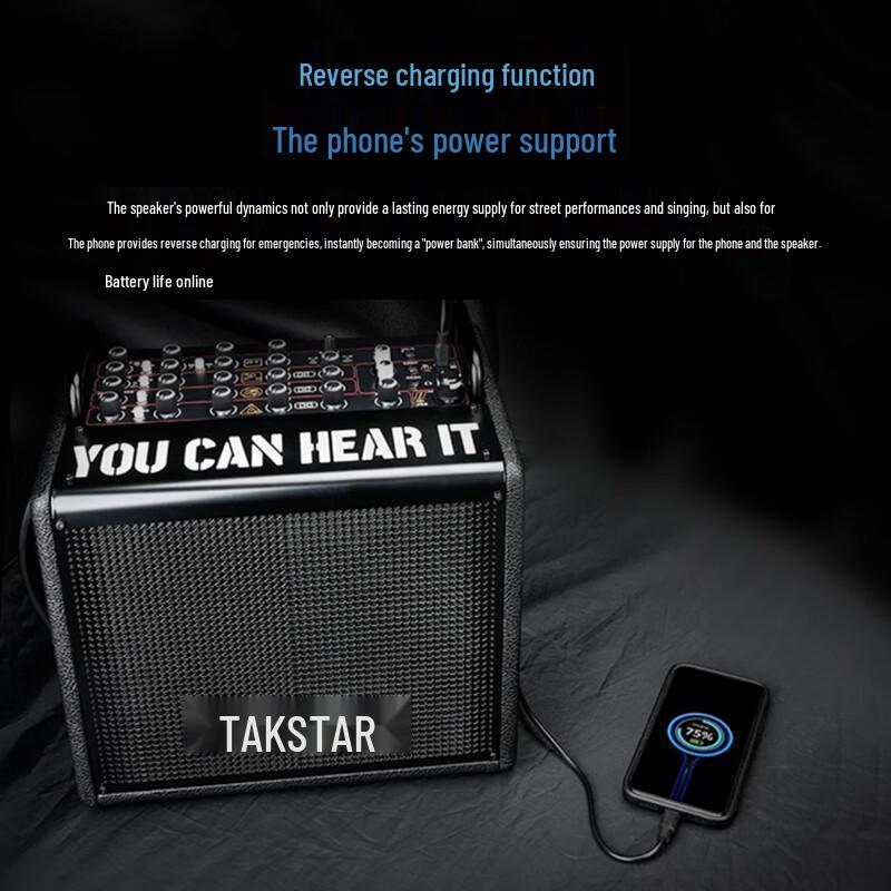 TAKSTAR OD200 Portable Outdoor Bluetooth Speaker