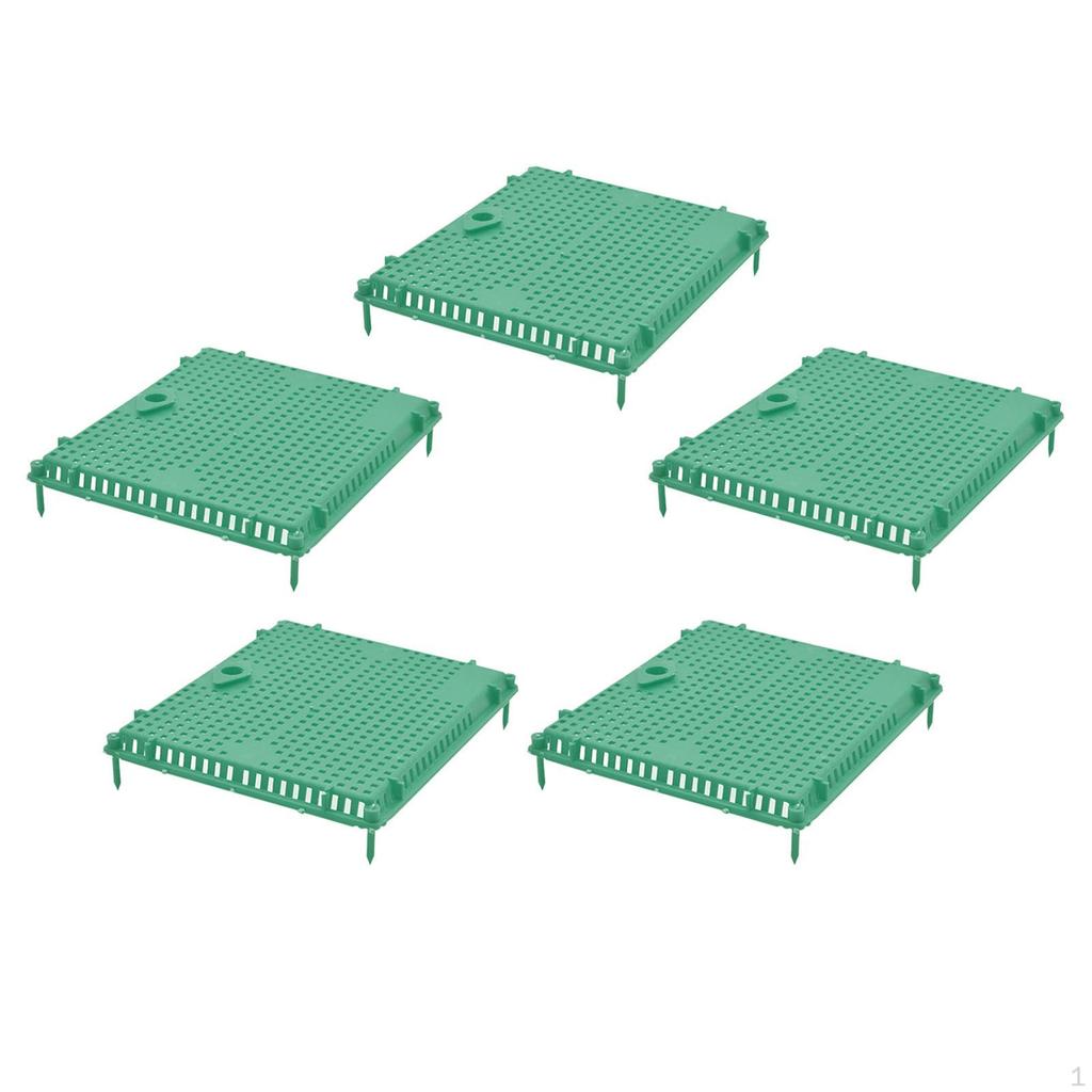 Isolator Introducing Cage Plastic Equipment Reusable Beekeeping