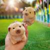 Loveable Hamster Soft Plush Keyring Attractive Backpack Hanging Decoration Gifts