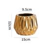 flower pot electroplated gold simple succulent pot creative household green plant potted plant New Year's desktop ornament