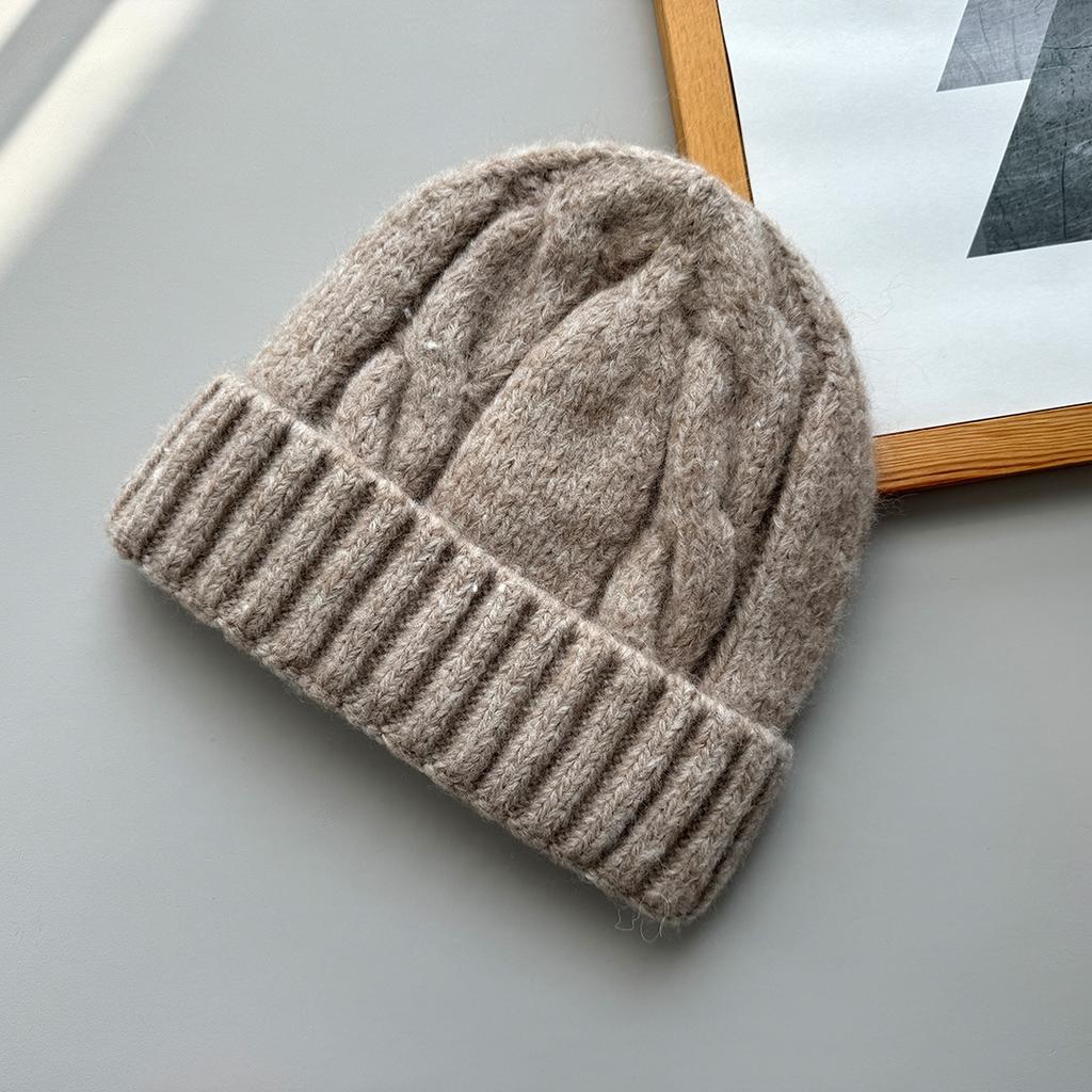 Korea autumn and winter simple coarse needle twisted warm knitted hat women's versatile ear protection wool hat