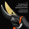 10 Inch Golden Eagle Beak Fruit Tree Pruning Shears, Rough Branch, Energy Efficient Flower Gardening, Home Use