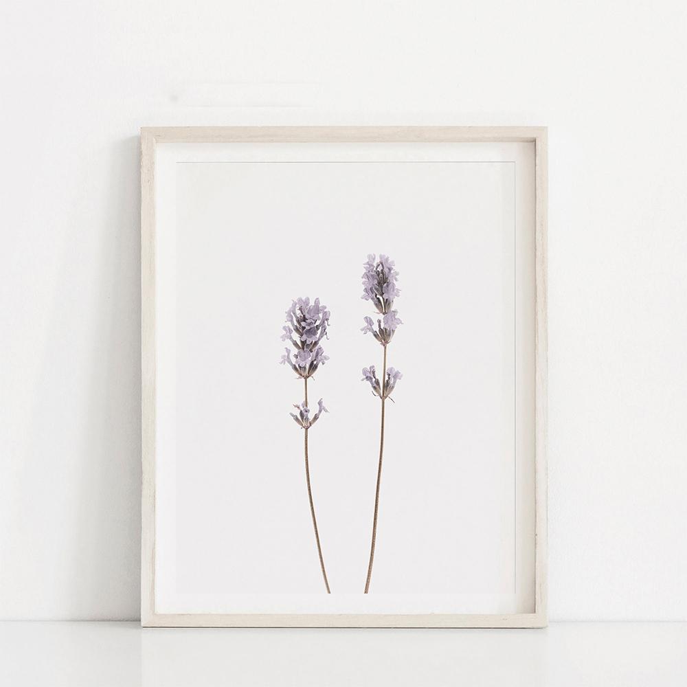 Nordic Style Lavender Botanical Posters Botanical Canvas Painting Farmhouse Wall Art Pictures for Living Room Home Decoration