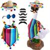 Accesorii de petrecere – Accesorii pentru ceremonii și petreceri