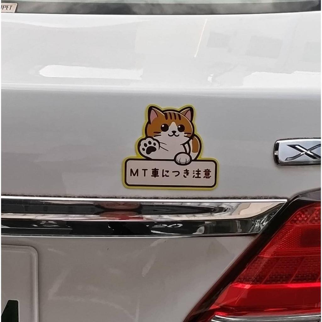 Magnetic Sticker for Cars, Beginners, MT Cars, Recording, Caution, Magnet MT Cars, Cat Pattern