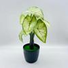 Leaf Taro Simulation Monstera Deliciosa  Artificial Plant Bonsai Decor Indoor