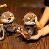 Cute Otter Plush Keychain, 15cm Soft Stuffed Animal Keyring Charm, Fluffy Otter Bag Pendant for Backpack, Purse, Car Keys, Gift for Otter Lovers