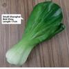 PU Shanghai Cabbage Vegetable Prop for Food Photography Practice Restaurant Menu Illustration and Display Arrangements