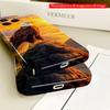 2DFlat Bald Eagle at Sunset Perched on Rock All inclusive film hard iPhone case, compatible with iPhone 18 Pro Max 17 16 15 14 13 12 11