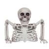 Decorazione scheletro da giardino per Halloween: Decorazione realistica a mezzo busto di teschio per esposizione da giardino a tema horror