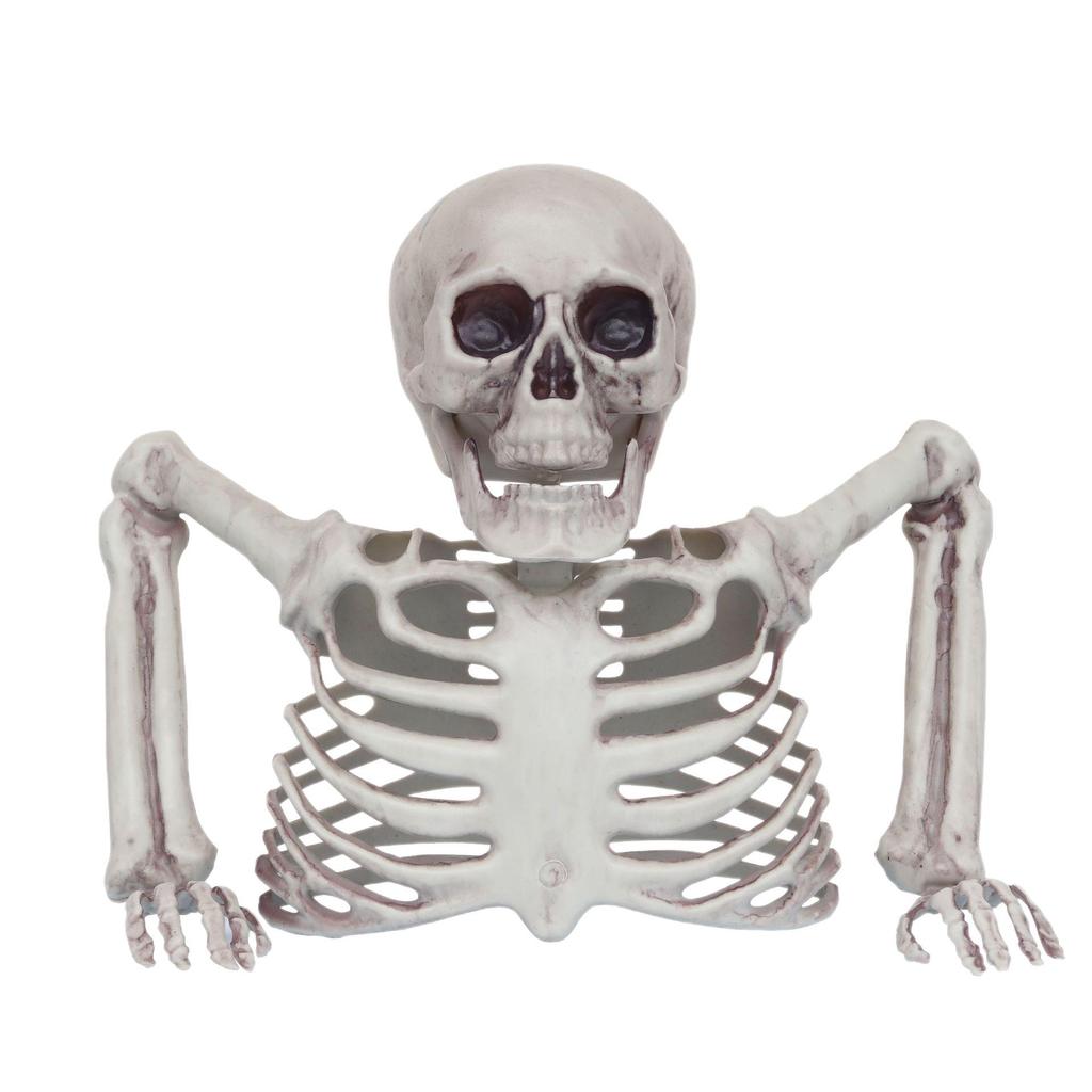 Decorazione scheletro da giardino per Halloween: Decorazione realistica a mezzo busto di teschio per esposizione da giardino a tema horror