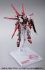 TAMASHII NATIONS METAL BUILD Mobile Suit Gundam SEED ASTRAY Gundam Astray Red approximately ABS PC PVC painted action figure Frame, 180mm, & & &