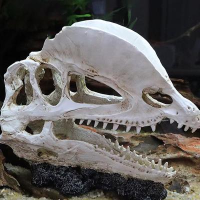 Simulation Resin Dinosaur Skull Ornaments Diy Aquarium Fish Tank Decoration