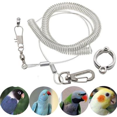 Cockatiel Macaw Flying Training Leash Ultra-light Flexible Rope Parrot Bird Anti-bite Leg Ring