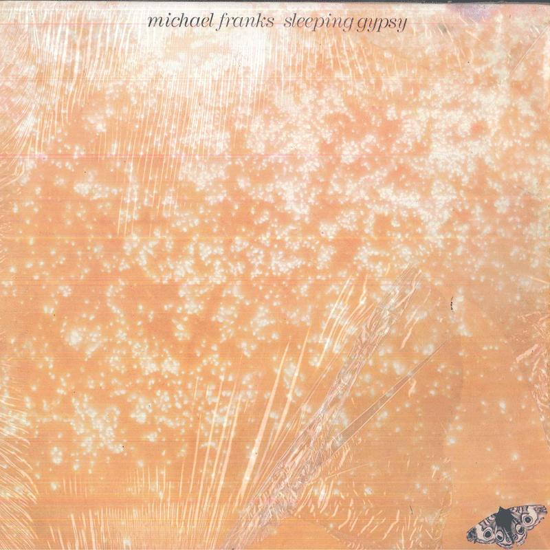

LP Record MICHAEL FRANKS Sleeping Gypsy BS3004 WARNER BROS 1977 Philippine Rock Used
