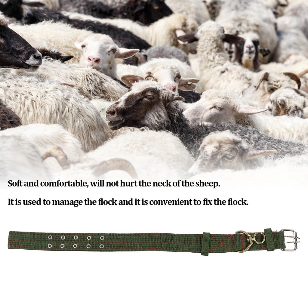 Sheep Collar Wear Resistant Turn Buckle Collar Farm Animal Collar Tie Collar for Cow Goat
