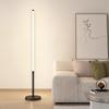 NuFeng 160CM LED Floor Lamp with Remote Control