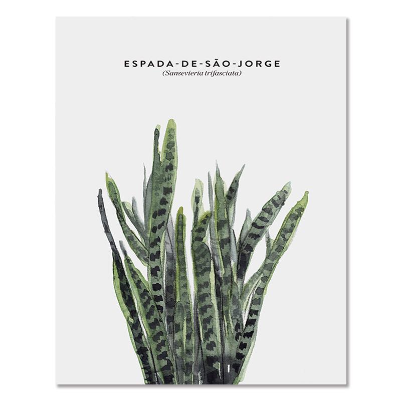 Severská zelená rastlina Listové plátno Plagáty Moderná nástenná maľba Plagát v črepníkoch Estetické obrazy do obývačky Home Decor