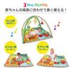 Nihon Ikuji Baby Gym The Very Hungry Caterpillar Activity Play Gym Suitable for newborns and adaptable to your growth - - up, child's stage.