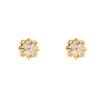 Hollow Four-Leaf Clover Women's High-End Flower Stud Earrings - Unique Accessories