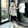 Boys' Color Block Vest & Striped Shorts Set - Summer 2026 Trend for Kids