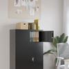 VidaXL Black Filing Cabinet 90x40x40 Cm Steel 339718