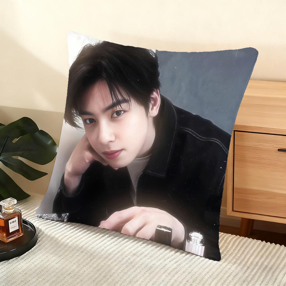 Singer Cha E-Eun W-Woo Cushion Cover Soft Short Plush Pillow Cover Smooth Cozy Texture Aesthetic Cushion Case Home Decor