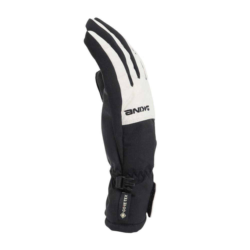Men's SATURN GORE-TEX Snow Gloves (BE237730)