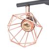 VidaXL Plafonnier avec 2 Projecteurs Lampe de Plafond Eclairage Lustre Luminaire de Salon Salle de Séjour Maison Intérieur 244389