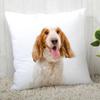 Spaniel Animal Pillowcase  Modern Home Living Room Decoration