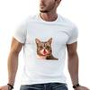 Lil Bub TShirt T Shirt Unisex Casual Unisex T Shirt Cotton G Unisex T Shirts for Unisex Tshirt