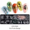 Nail Stamping Plate Various Patterns Clear Engraved Rust-Proof Polish Printing Flowers Nail Art Stamp for Girl