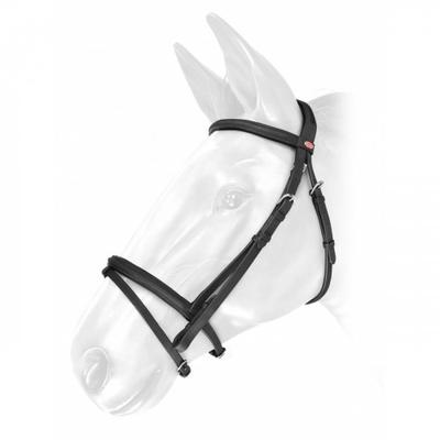 Sport und Unterhaltung – Reitsport