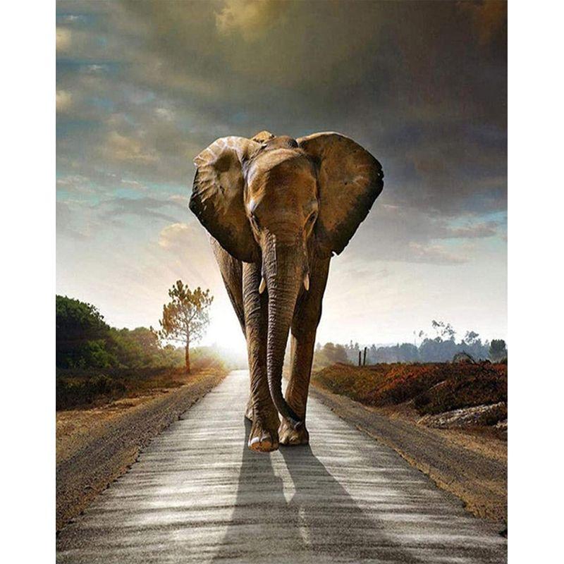 Colour Diamond Full Drill Painting Africa Elephant Cross Stitch Diamond Embroidery Animals 5d Diy Mosaic Decor For Ho