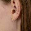 (Silver 925) Star Cubic Hoop Earrings EC3262
