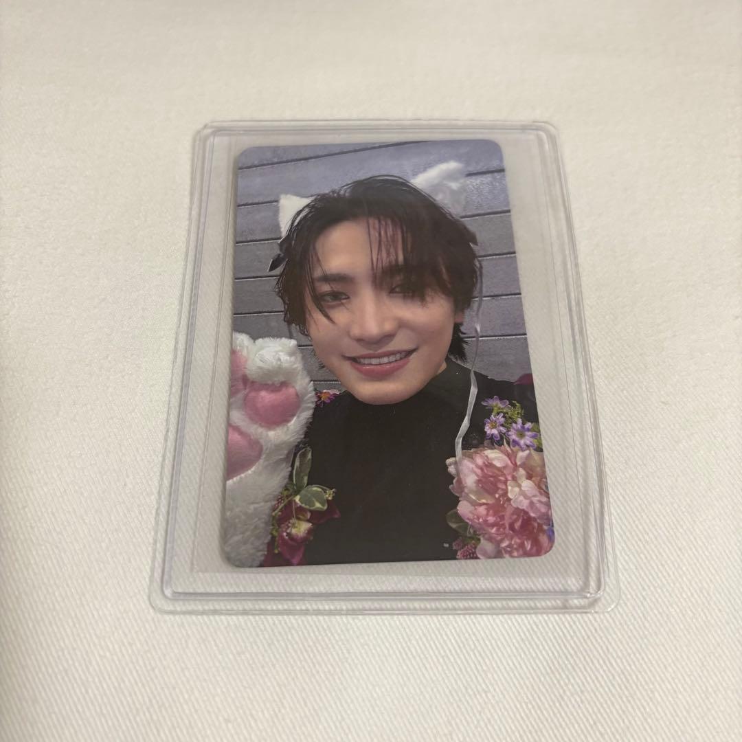 [USED] The cause lies within myself. Masaya Sakuragi Cat Petting Trading Card FC Renewal Bonus New Membership Bonus
