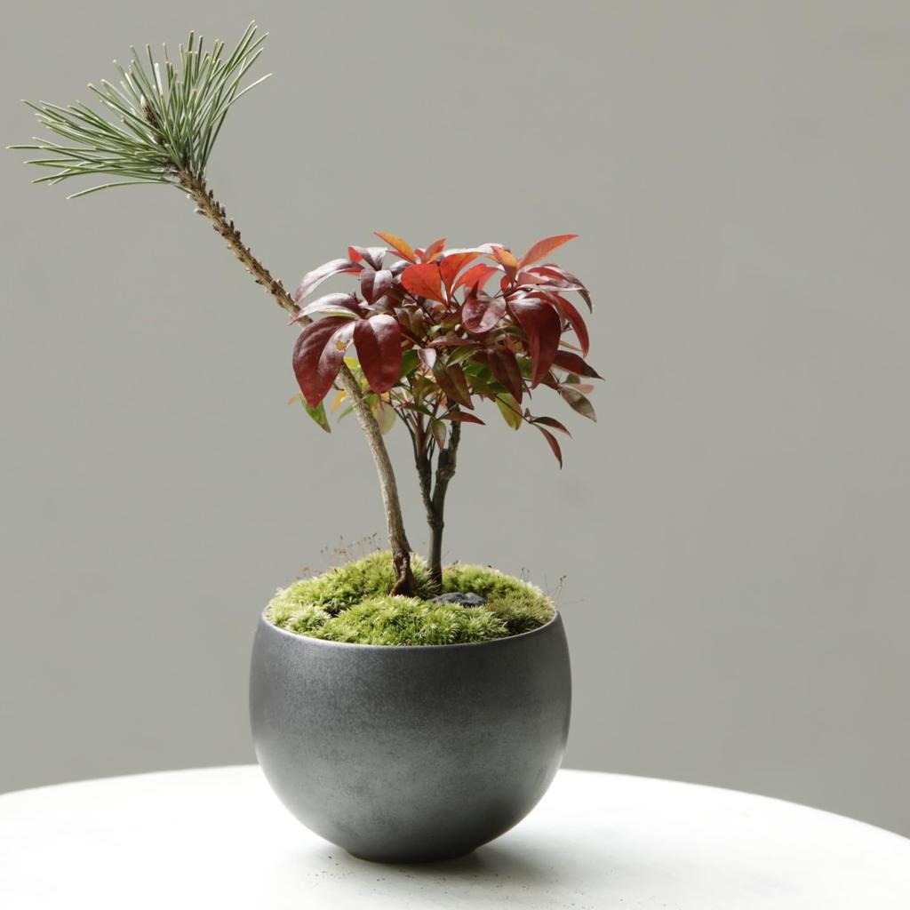 Leaf88 Flower Pot 3 Diameter 10x Height 7cm 3 Gray Made In Japan Mikawachi Ware No. No.