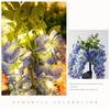 2X Solcelle Hagelys Kunstige Wisteria Blomster Solcellelys Utendørs Hagebelysning, LED Hage Solcellelys For Gårdsplass/Terrasse/Landskap/Gangvei