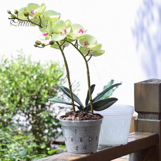 2 Stück transparente Orchideentöpfe, Blumenkübel, Design mit seitlichen Löchern, wiederverwendbar, weit verbreitet, Kunststoff-Orchideentöpfe mit Tabletts