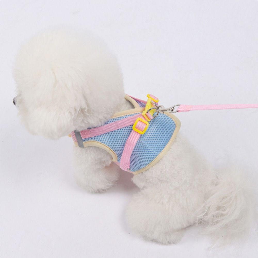 Anti Escape Dog Leash Set No Pull Cat Chest Strap Pet Harness Vest  French Bulldog Chihuahua Pug