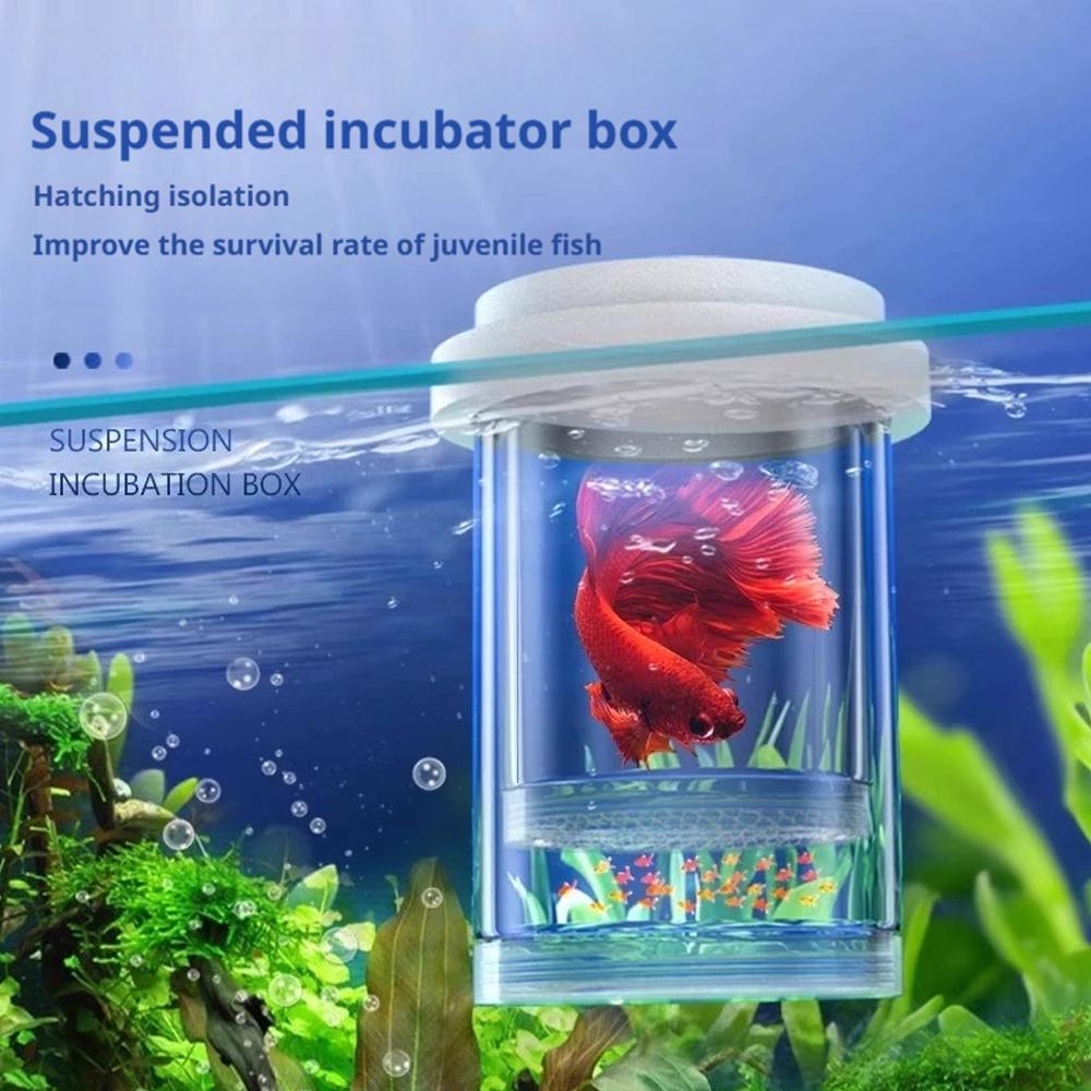 1pc Floating Fish Breeding Isolation Box Fish Tank Hatching Incubator Birthing Room Incubator Aquarium Breeder Accessory