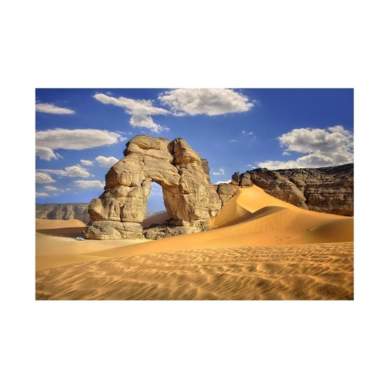Desert Series Photography Background Natural Scenery Backdrop Photo Backdrop Studio Supplies Props Home Decor