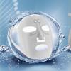 Facial Moisture Treatment, Enhance Your Skincare Rituals With Our Innovative Silicone Mask, Promote Absorption Of Essential Serums, And Enjoy A Rela