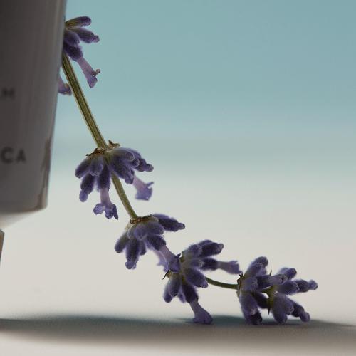 Aromatica Seren Hand Cream Lavender   Marjoram 30ml